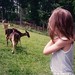 Jennifer Maines Photo 13