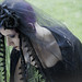 Vivian Edwards Photo 15