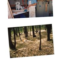 Patrick Simms Photo 16