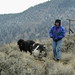 Brenda Fraser Photo 10