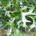 Sue Heath Photo 36