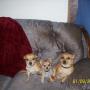 April Groves Photo 7
