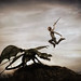 Alice Battle Photo 17
