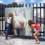 David Rhodes Photo 23