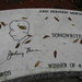 John Mercer Photo 51