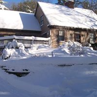 Cynthia Lutz Photo 23