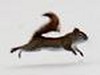 Michael Mohr Photo 10