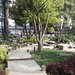 Nan Lin Photo 22