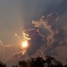 Debra Minor Photo 22
