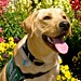 Debbie Triplett Photo 6