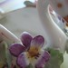 Amber Swan Photo 35
