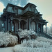 Frances Chandler Photo 8