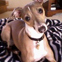 Debbie Hannan Photo 11
