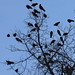 Cynthia Parr Photo 23
