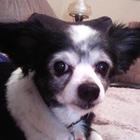 Debra Look Photo 2