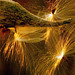 Joy Dore Photo 9
