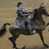 Sandra Gable Photo 8
