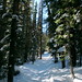 Cameron Hanson Photo 5