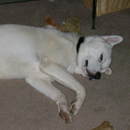 Janice Evans Photo 8