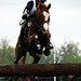 Boyd Martin Photo 13