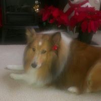 Linda Roderick Photo 31