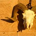 Nicholas Baran Photo 6