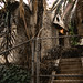 David Witmer Photo 34