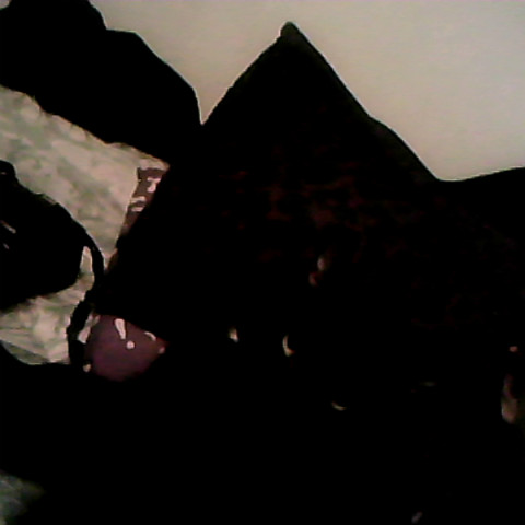 Elizabeth Scruggs Photo 2