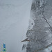 Jay Tepper Photo 7