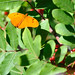 Julia Waters Photo 41