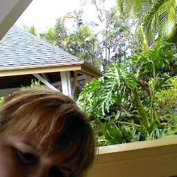 Cindy Chambers Photo 42