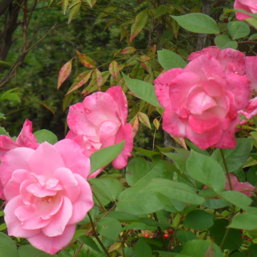 Martha Wilson Photo 21