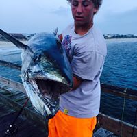 Andrew Routh Photo 28