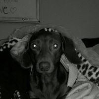 Leah Garza Photo 29