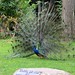 Felix Rodrigez Photo 16