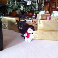 Debbie Rolfe Photo 6