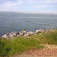 Jiyuan Chen Photo 3