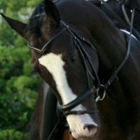 Ann Philips Photo 15