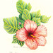Jennifer Kao Photo 20