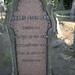 Stephen Henry Photo 27