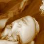 Stephen Long Photo 35