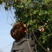 Jimmy Bush Photo 44
