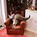 Kimberly Hall Photo 41