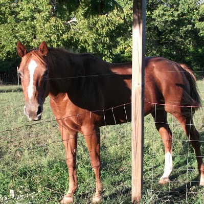 Janet Mcdaniel Photo 31