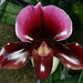 Joyce Clark Photo 20