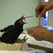 Lynn Crow Photo 18