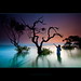 Garry Barker Photo 30