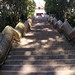 Gail Haley Photo 13