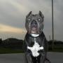 Eric Ramirez Photo 43