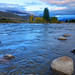 Cheng Sun Photo 10